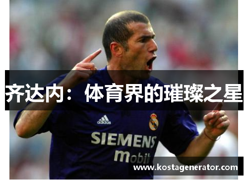 齐达内：体育界的璀璨之星